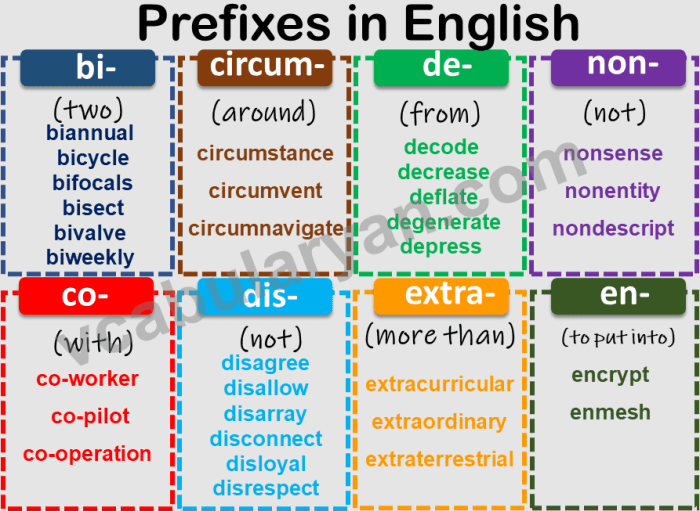 Words with the prefix duc