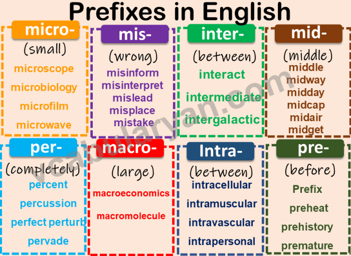 Words with the prefix duc