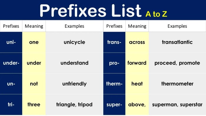 Words with the prefix duc